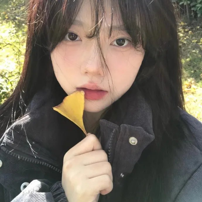我在岛屿读书